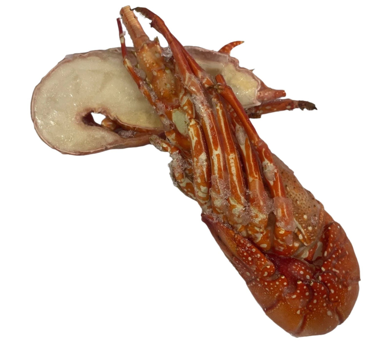 Half Cut Cooked Crayfish — osselect