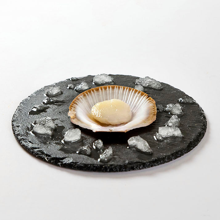 Original Scallops Roe Off Tasmania Half Shell Scallop (Roe off) | Oceania Seafoods Select — osselect