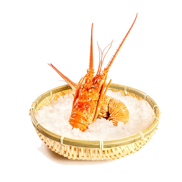 Australian Cooked Crayfish
